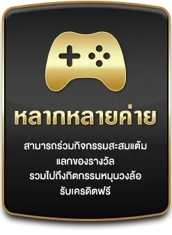 member999 feture